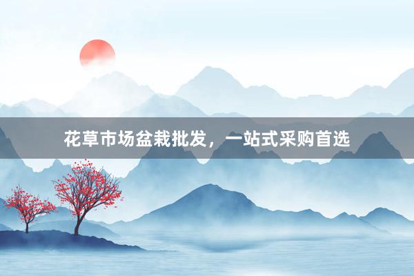 花草市场盆栽批发，一站式采购首选