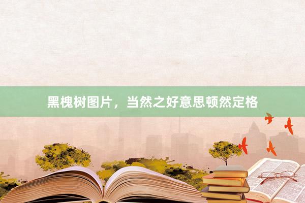 黑槐树图片，当然之好意思顿然定格